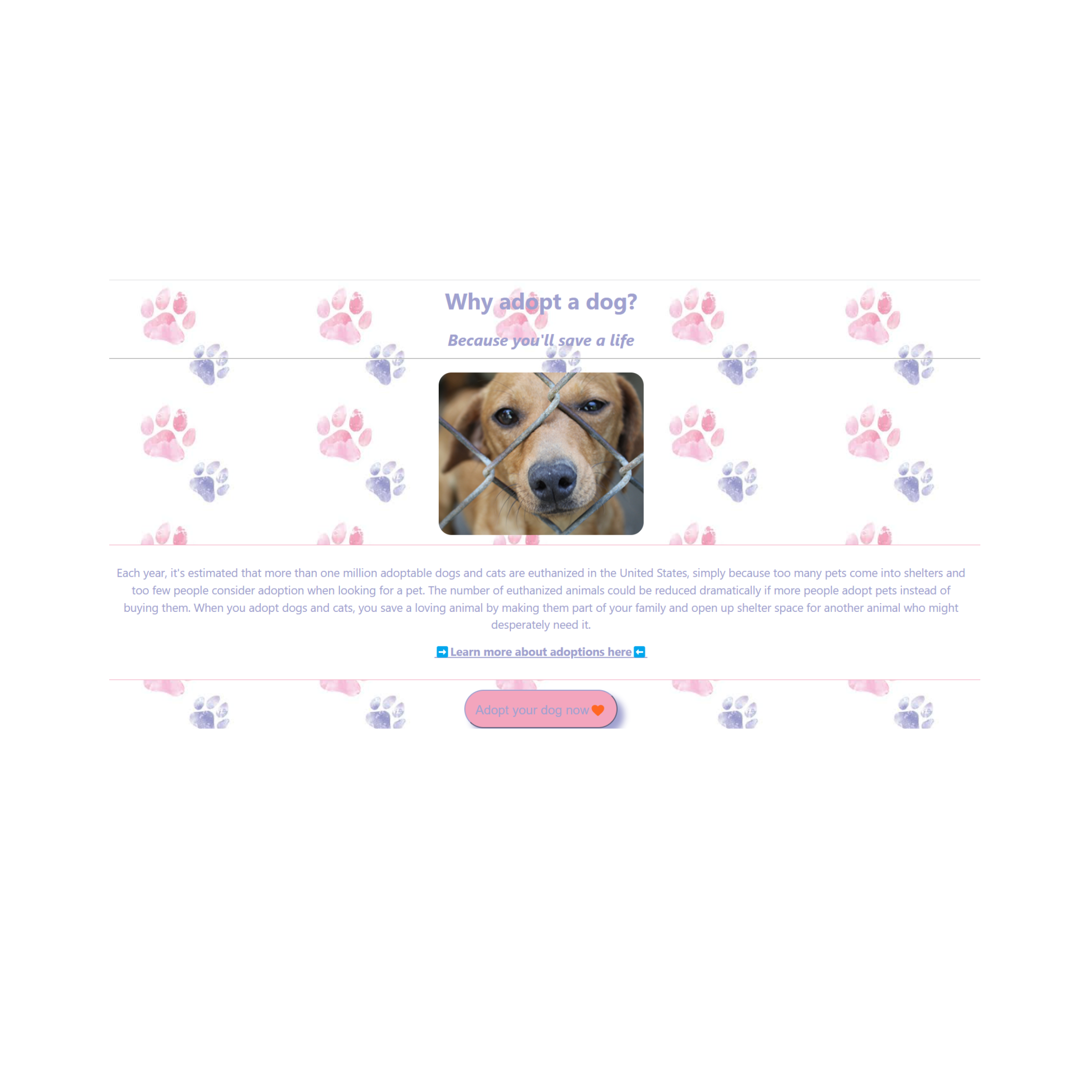 Dog Website Project